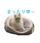 らぶりー レイちゃん（個別スタンプ：7）