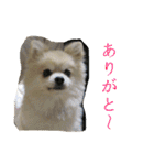 らぶりー レイちゃん（個別スタンプ：9）
