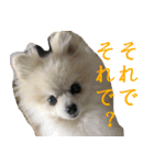 らぶりー レイちゃん（個別スタンプ：12）