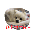 らぶりー レイちゃん（個別スタンプ：13）