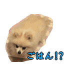 らぶりー レイちゃん（個別スタンプ：14）