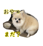 らぶりー レイちゃん（個別スタンプ：15）