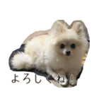 らぶりー レイちゃん（個別スタンプ：18）