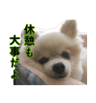 らぶりー レイちゃん（個別スタンプ：21）