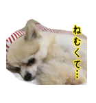 らぶりー レイちゃん（個別スタンプ：22）