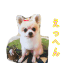 らぶりー レイちゃん（個別スタンプ：23）