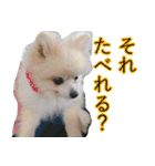 らぶりー レイちゃん（個別スタンプ：31）