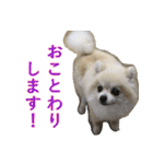 らぶりー レイちゃん（個別スタンプ：40）
