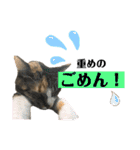kuromikeCHANNELⅡ（個別スタンプ：2）