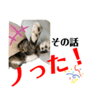 kuromikeCHANNELⅡ（個別スタンプ：6）