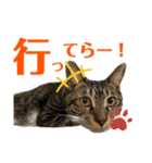 kuromikeCHANNELⅡ（個別スタンプ：7）