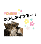 kuromikeCHANNELⅡ（個別スタンプ：8）