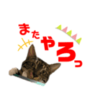 kuromikeCHANNELⅡ（個別スタンプ：12）
