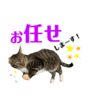kuromikeCHANNELⅡ（個別スタンプ：13）