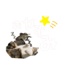kuromikeCHANNELⅡ（個別スタンプ：14）