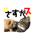 kuromikeCHANNELⅡ（個別スタンプ：17）