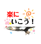 kuromikeCHANNELⅡ（個別スタンプ：18）