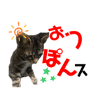 kuromikeCHANNELⅡ（個別スタンプ：21）