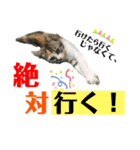 kuromikeCHANNELⅡ（個別スタンプ：26）