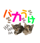 kuromikeCHANNELⅡ（個別スタンプ：28）