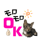 kuromikeCHANNELⅡ（個別スタンプ：30）