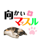 kuromikeCHANNELⅡ（個別スタンプ：31）