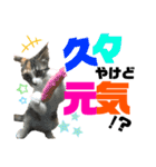 kuromikeCHANNELⅡ（個別スタンプ：32）