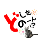 kuromikeCHANNELⅡ（個別スタンプ：34）