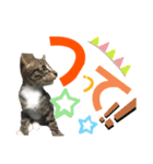 kuromikeCHANNELⅡ（個別スタンプ：35）