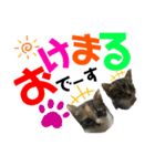 kuromikeCHANNELⅡ（個別スタンプ：36）
