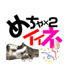 kuromikeCHANNELⅡ（個別スタンプ：38）