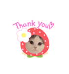 はちわれ猫ぱーるちゃん（個別スタンプ：1）