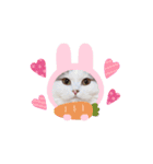 はちわれ猫ぱーるちゃん（個別スタンプ：2）