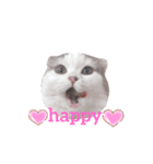 はちわれ猫ぱーるちゃん（個別スタンプ：8）