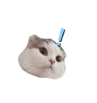 はちわれ猫ぱーるちゃん（個別スタンプ：15）