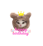はちわれ猫ぱーるちゃん（個別スタンプ：16）