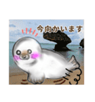 アザラシほのちゃんのほのぼの生活（個別スタンプ：16）