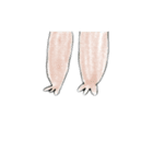 二重の動物（個別スタンプ：2）