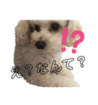 愛犬ぷん 2（個別スタンプ：3）