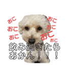 愛犬ぷん 2（個別スタンプ：7）