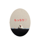 イノあにまるず（個別スタンプ：2）
