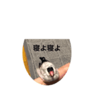 イノあにまるず（個別スタンプ：3）
