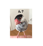 イノあにまるず（個別スタンプ：4）