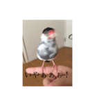イノあにまるず（個別スタンプ：5）
