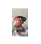 イノあにまるず（個別スタンプ：6）
