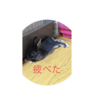 イノあにまるず（個別スタンプ：7）
