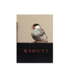 イノあにまるず（個別スタンプ：8）