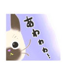 ねこ時々やっぱり毎日ねこ（個別スタンプ：33）