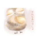 モケちゃん（個別スタンプ：1）