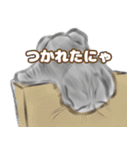 レオにゃんすたんぷ（個別スタンプ：9）